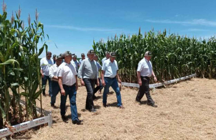 Tradicionais eventos das cooperativas abrem o calendário agrícola no Oeste do Paraná