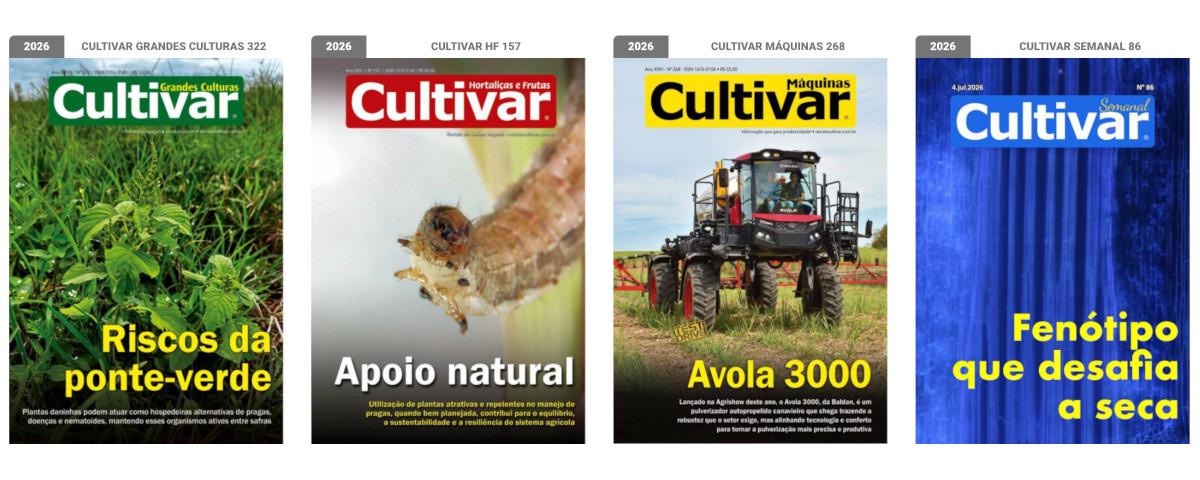 Capas - 2025
