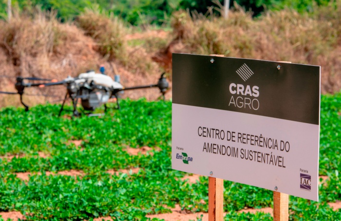 CRAS Agro inicia o ciclo 2024-25 do amendoim