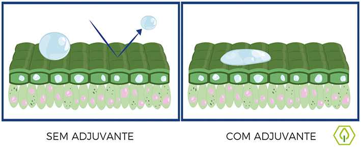 Figura 3 - Representação da formação de depósito da gota na ausência e na presença de adjuvante. Ilustração: Elevagro
