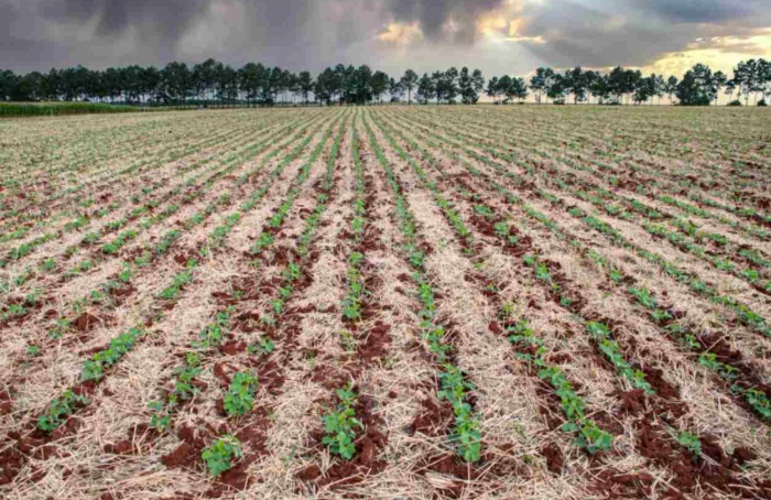 Previsão é de temperaturas elevadas e de instabilidade no RS