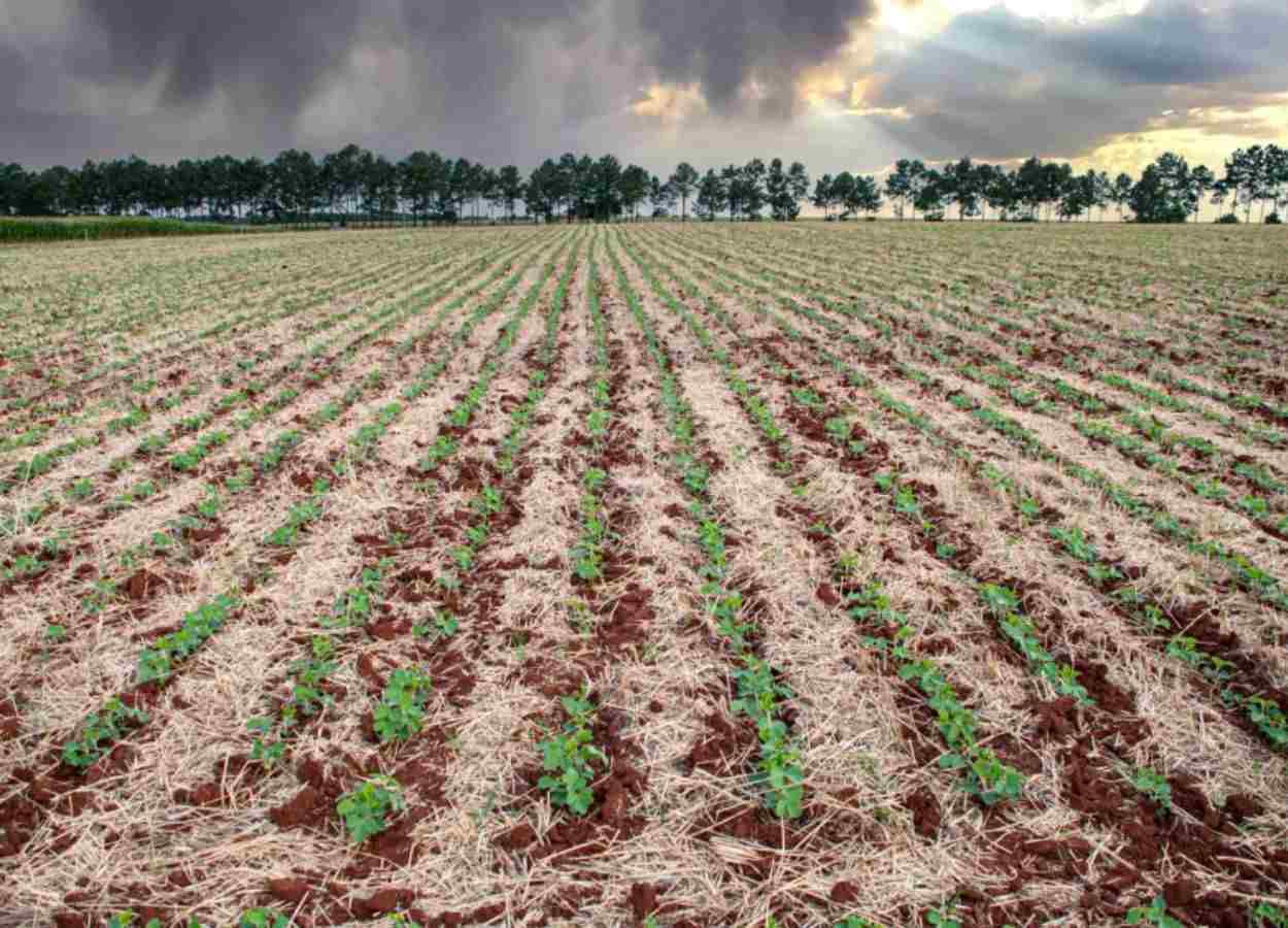 Previsão é de temperaturas elevadas e de instabilidade no RS