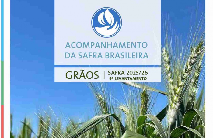 Conab projeta safra recorde de 358,6 milhões de toneladas