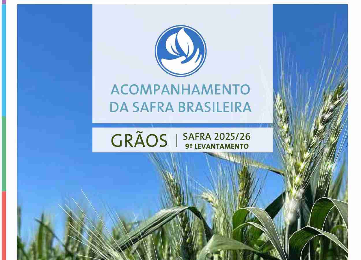 Grãos avançam 1,8 por cento na safra 2025/26, com alta puxada por soja, milho primeira safra e sorgo