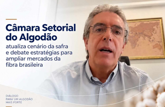 Safra de algodão pode superar 4,1 milhões de toneladas, prevê Abrapa