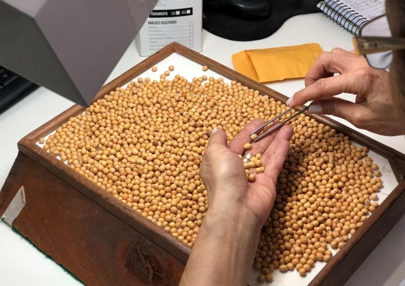 Aprosoja inicia coletas para pesquisa da qualidade de sementes de soja