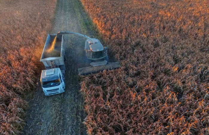 Custos de produção do agro gaúcho caem 1,24% em junho