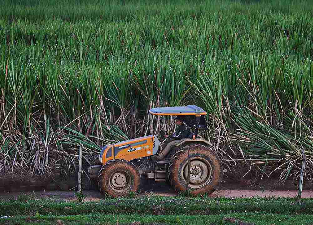 Alta nas vendas de tratores e avanço do consórcio impulsionam investimentos
