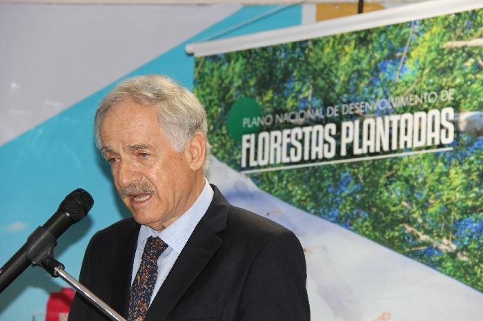 MAPA lança Plano Nacional de Desenvolvimento de Florestas Plantadas