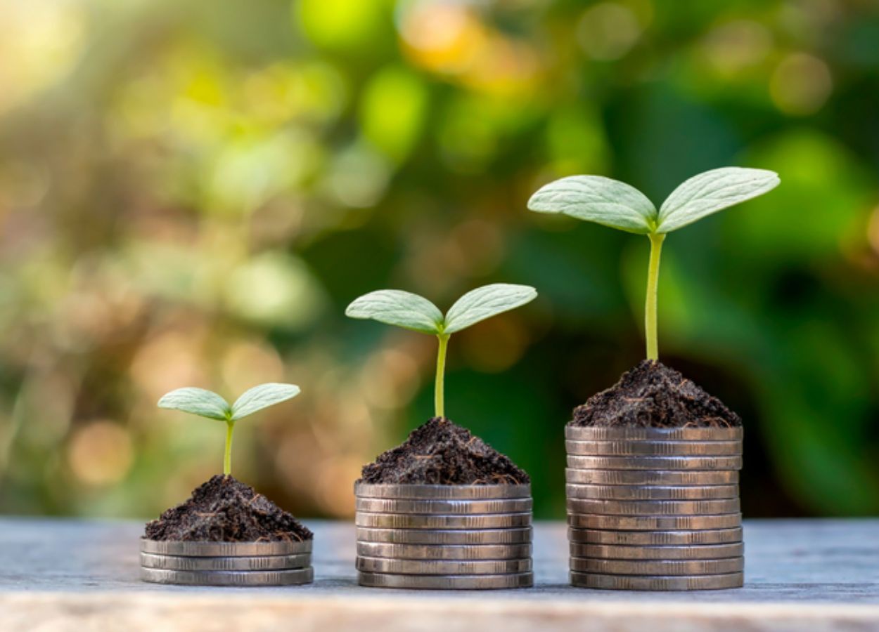 Títulos privados do agro movimentam R$ 580,78 bilhões em julho