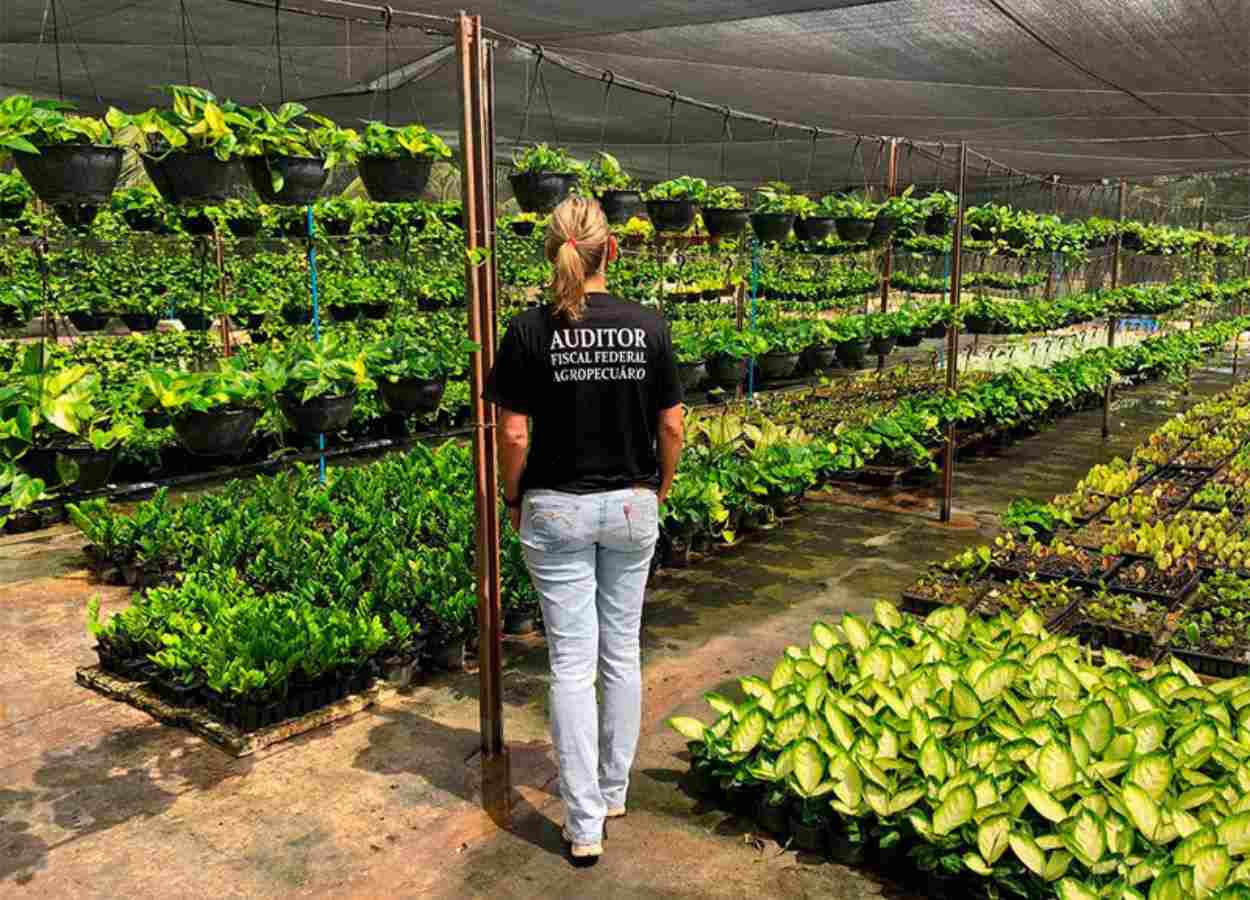 Dia da Agricultura reforça importância da fiscalização no agro