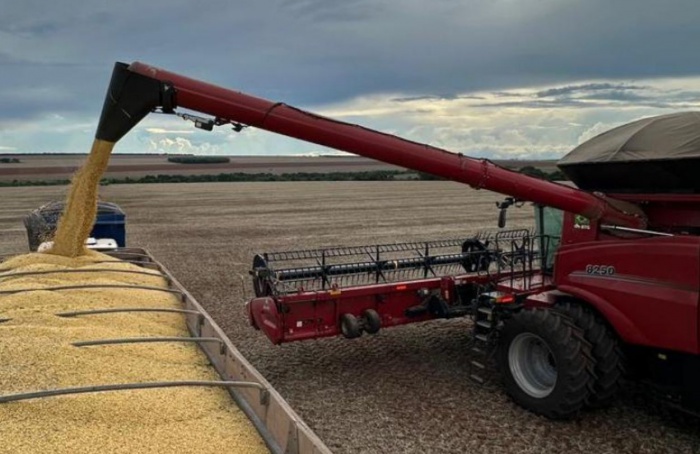 Crédito rural em MS soma R$ 1,1 bilhão e indica cautela