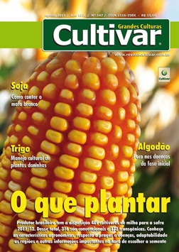 O que plantar