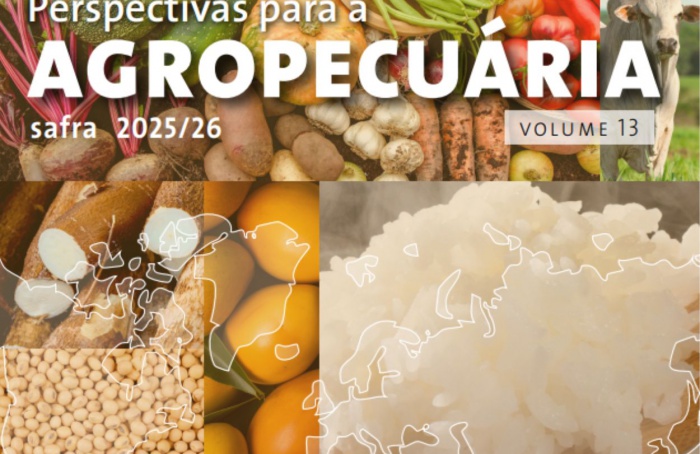Conab projeta novo recorde de grãos na safra 2025/26