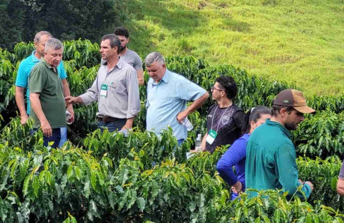 Epamig e Embrapa Café promovem dia de campo sobre cultivares de café
