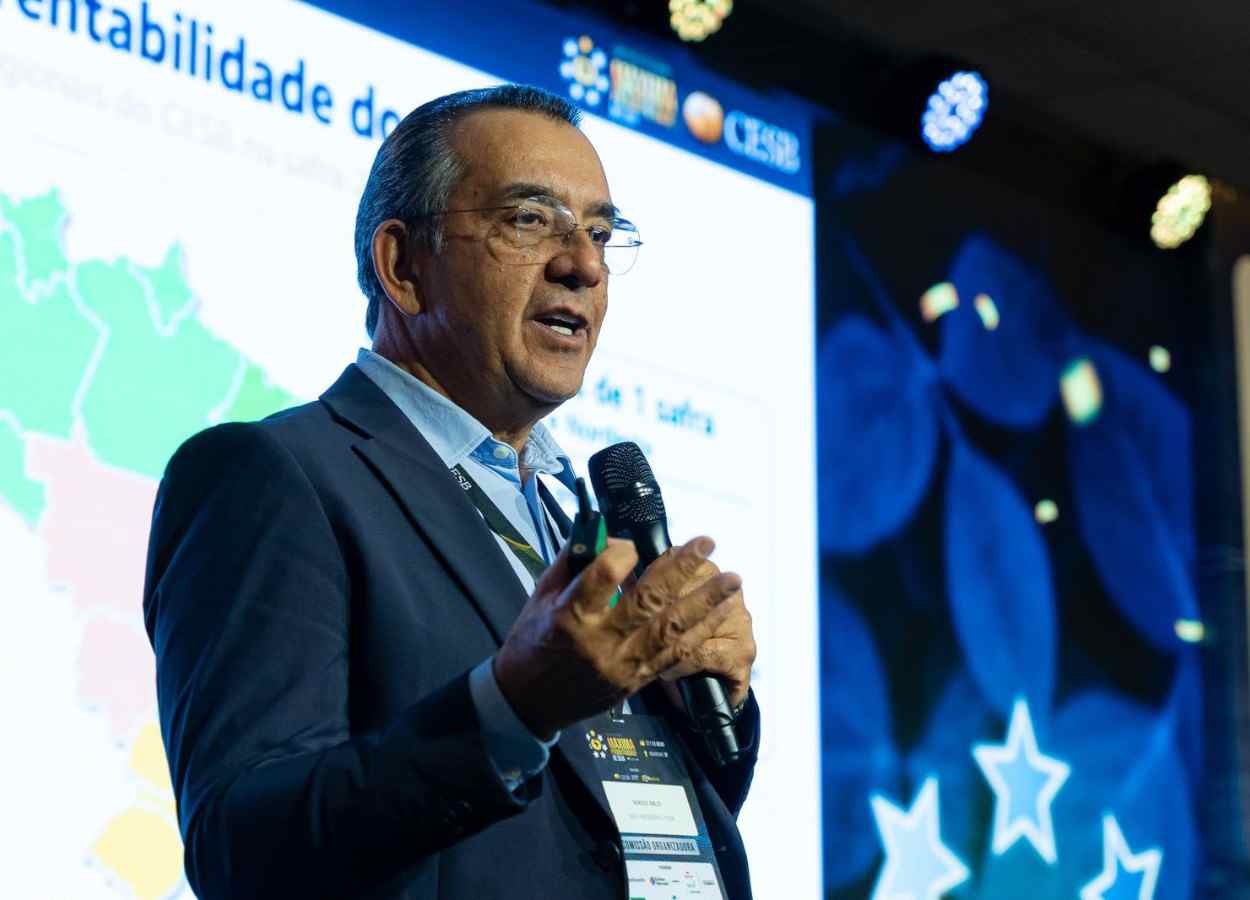 CESB aponta produtividade como estratégia econômica na soja