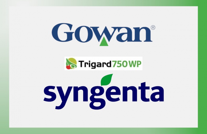 Gowan adquire direitos globais sobre o ingrediente ativo ciromazina
