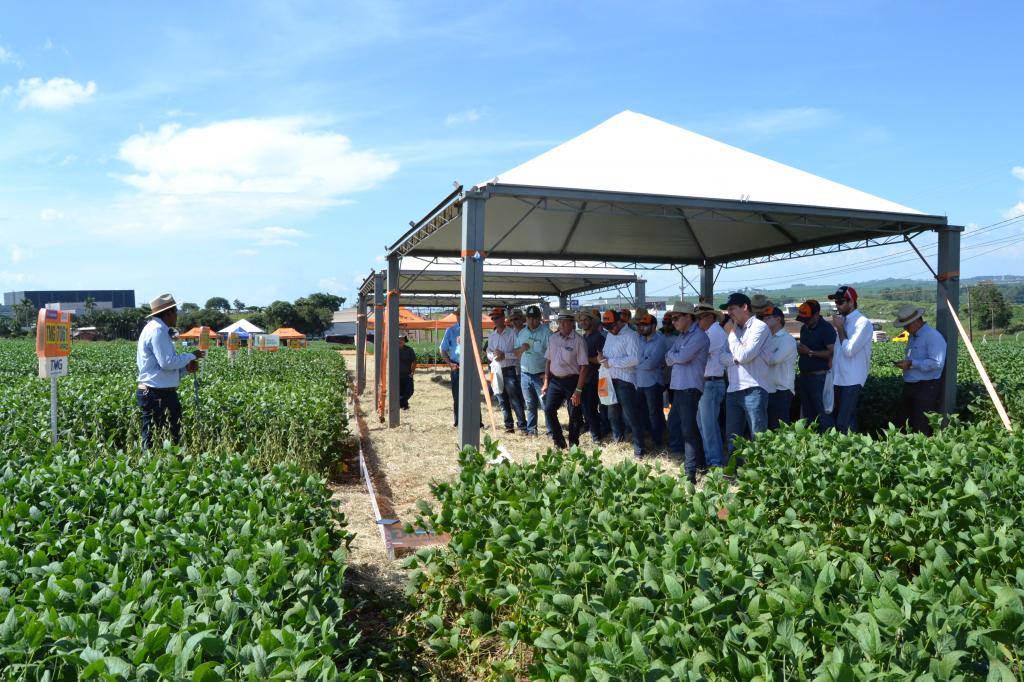 Dia de campo no norte do PR mostra lançamentos de cultivares e manejo de doenças da soja