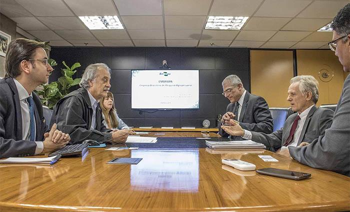 Setor produtivo de nozes e castanhas busca apoio da Embrapa para alavancar mercado no Brasil