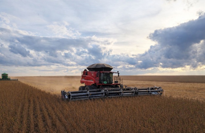 Chuvas desafiam colheita da soja em Mato Grosso