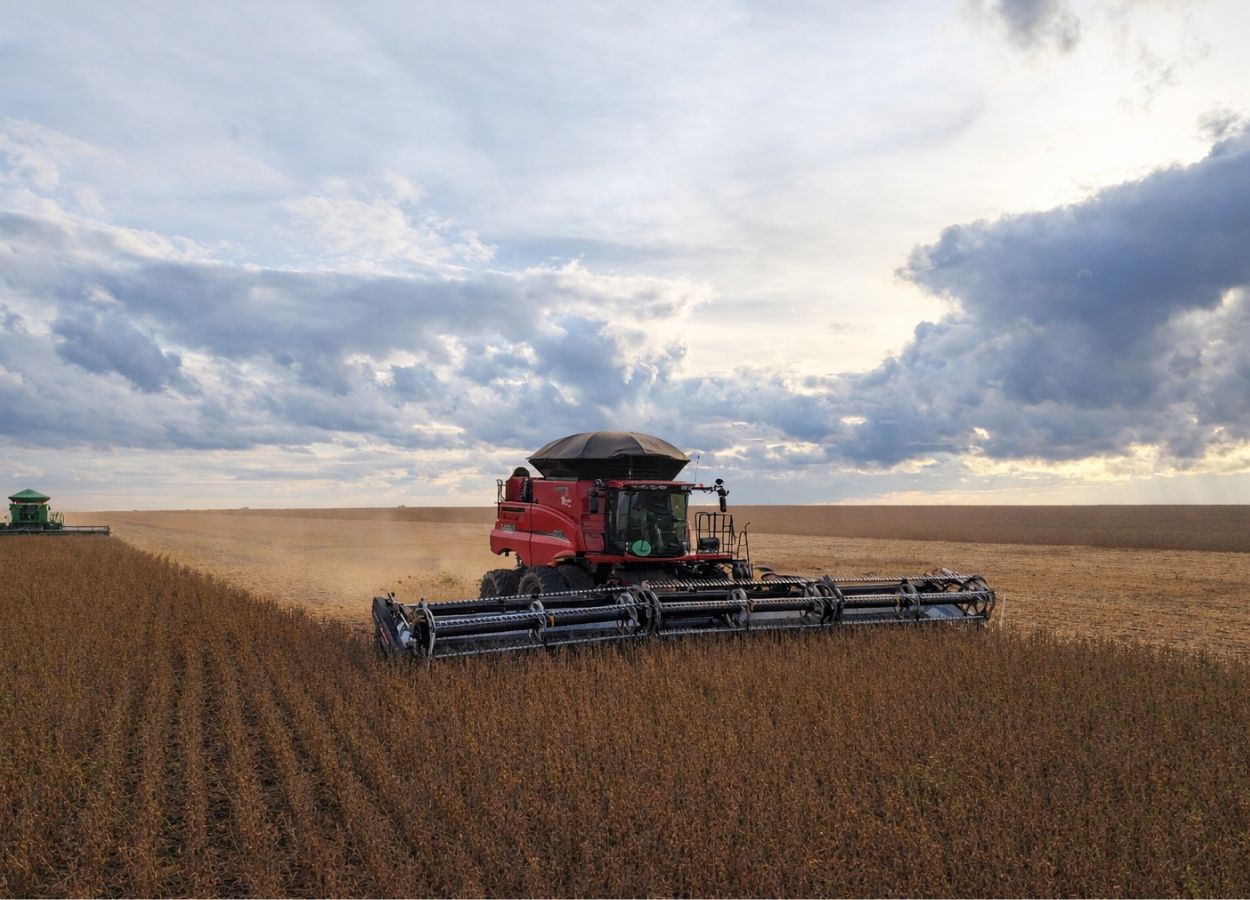 Chuvas desafiam colheita da soja em Mato Grosso