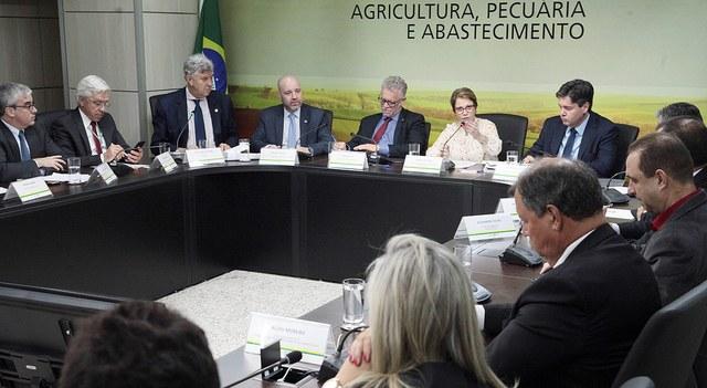 Produtores de arroz se reúnem com Ministra Tereza Cristina para debater problemas do setor