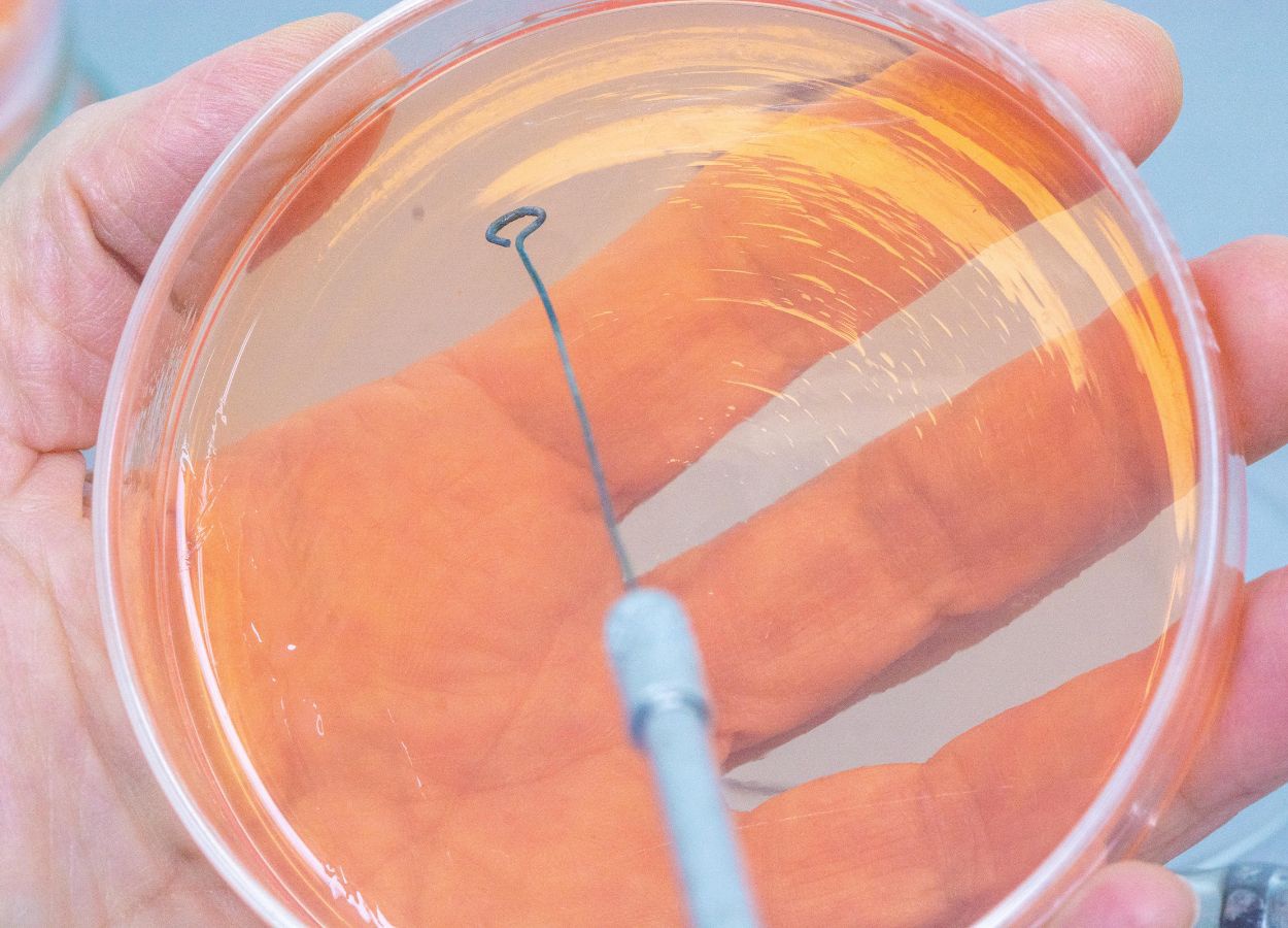 Avanço dos bioinsumos será debatido na XXII Relare