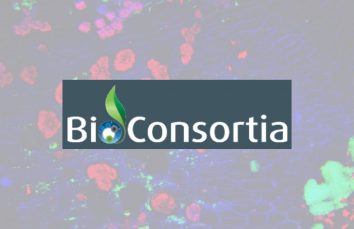 BioConsortia develops nitrogen-fixing products