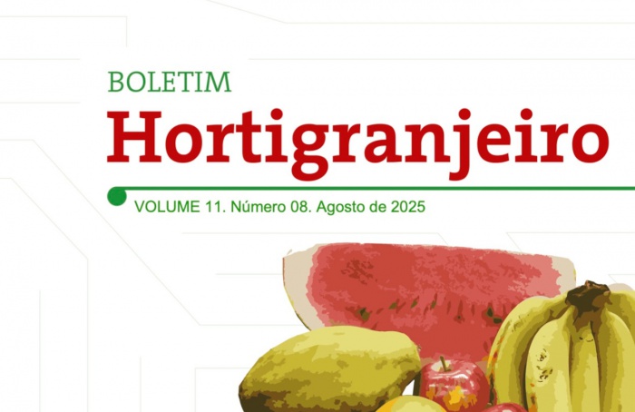 Batata e cebola puxam queda de preços em julho