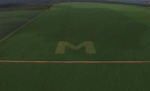 “M” gigante faz parte de  ação de marketing da Monsoy