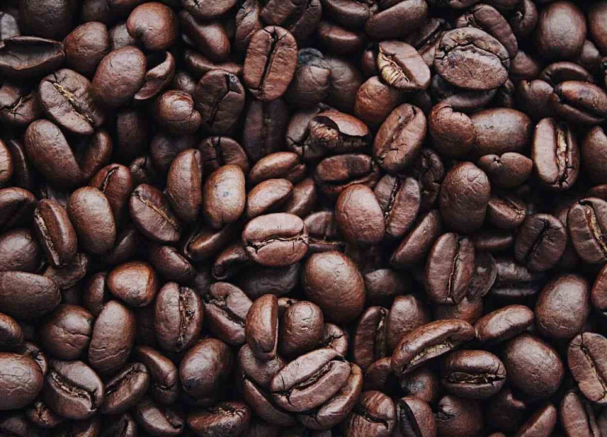 Coffee: moment marked by adjustment in imports from the European Union