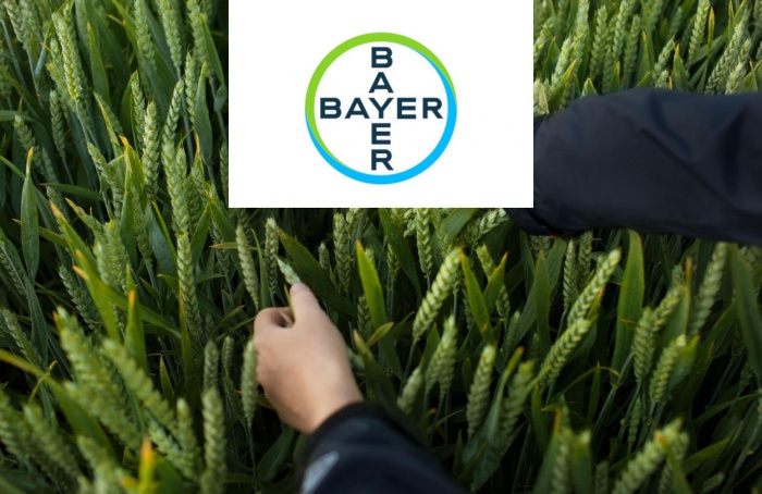 Bayer pede registro de icafolin na União Europeia