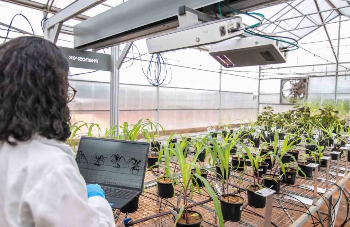 Vittia apresenta tecnologia inédita de fenotipagem no Brasil