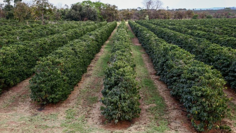 Foto: Gilberto Marques