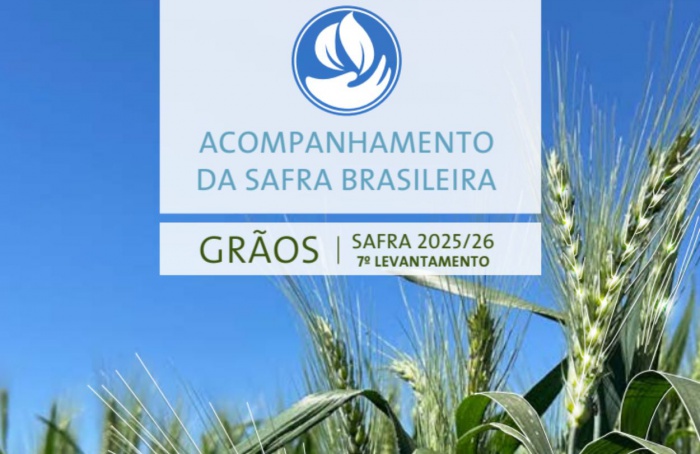 Safra de grãos 2025/26 é estimada em 356,3 milhões de toneladas