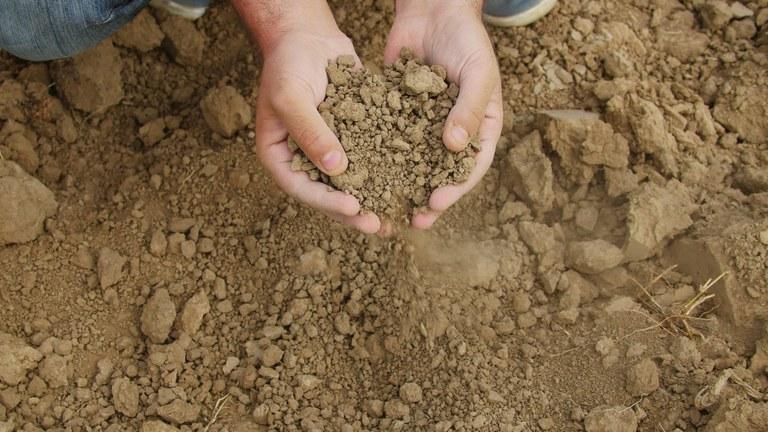 Mais de 25 mil agricultores familiares irão receber benefício do Garantia-Safra em abril