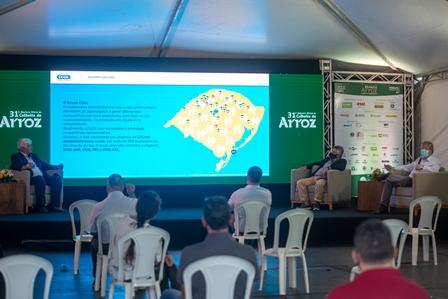 Ampliação da capacidade portuária beneficiará arrozeiros gaúchos