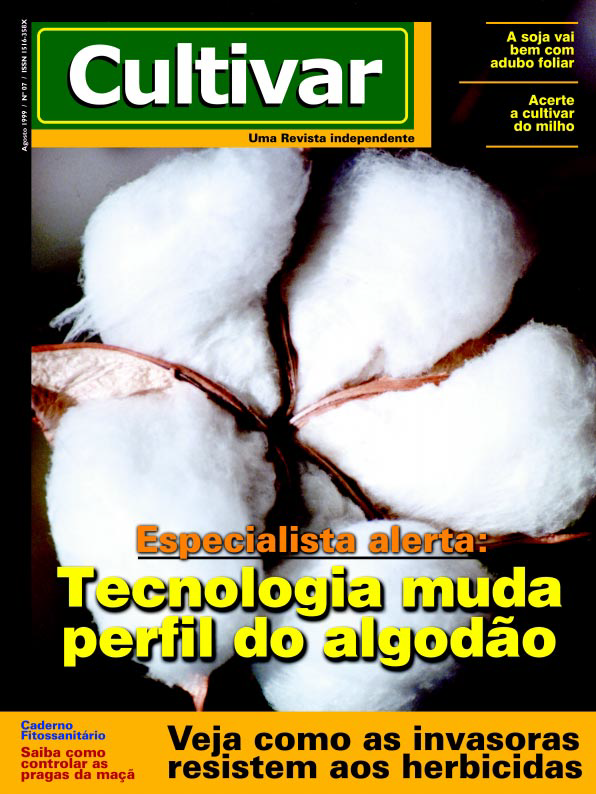 Tecnologia muda perfil do algodão