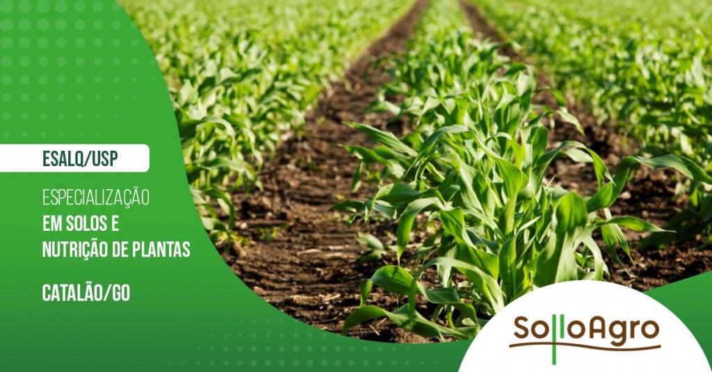 Esalq/USP prorroga inscrições para Curso de Especialização em Manejo do Solo e Nutrição de Plantas da em Catalão/GO