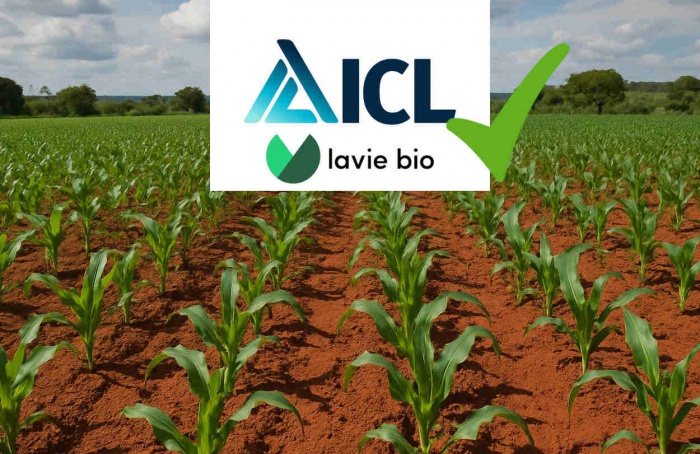 Evogene conclui venda da Lavie Bio para ICL Group
