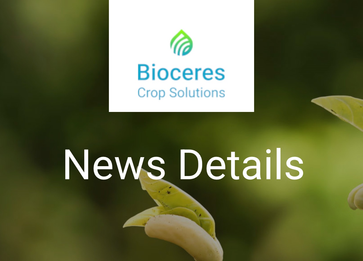 Bioceres anuncia mudanças no conselho de administração