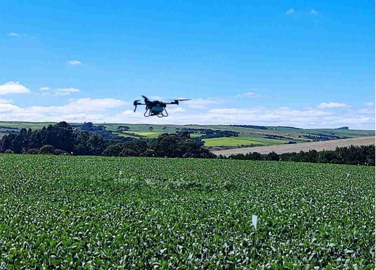 Projeto Fauve testa pulverização com drones para reduzir uso de água