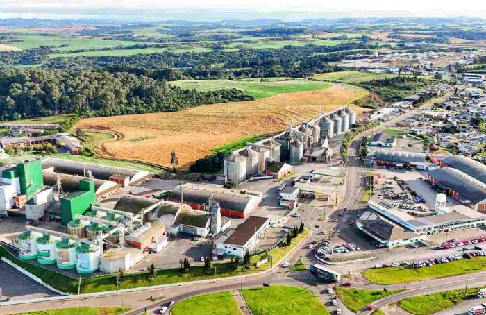 Copercampos celebra 55 anos de crescimento e união