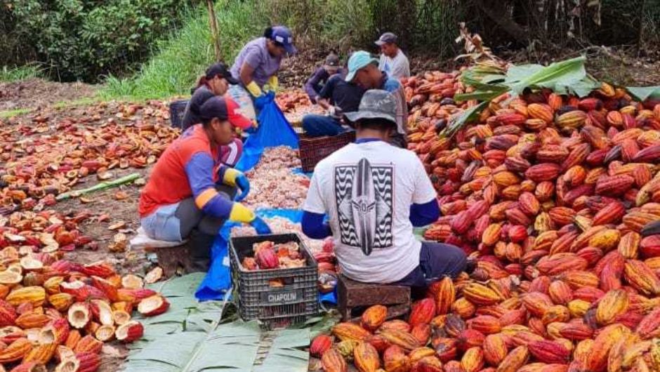 Fotos: Letícia Fagundes