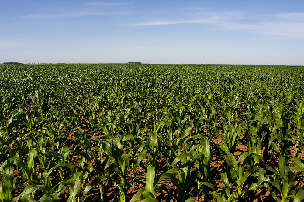 FMC orienta produtores a utilizar tecnologias para incremento de performance no campo