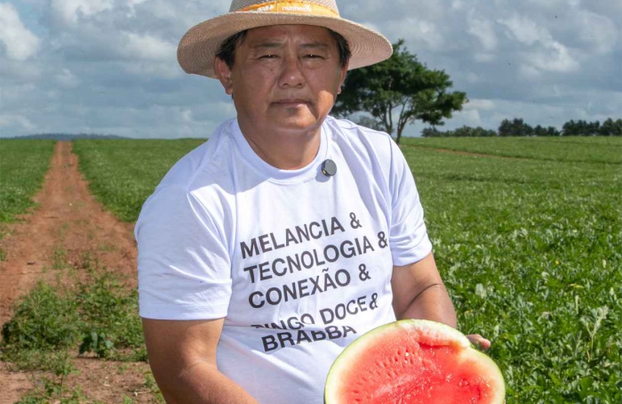 Melancia ganha nova cara com modelo de produção integrada