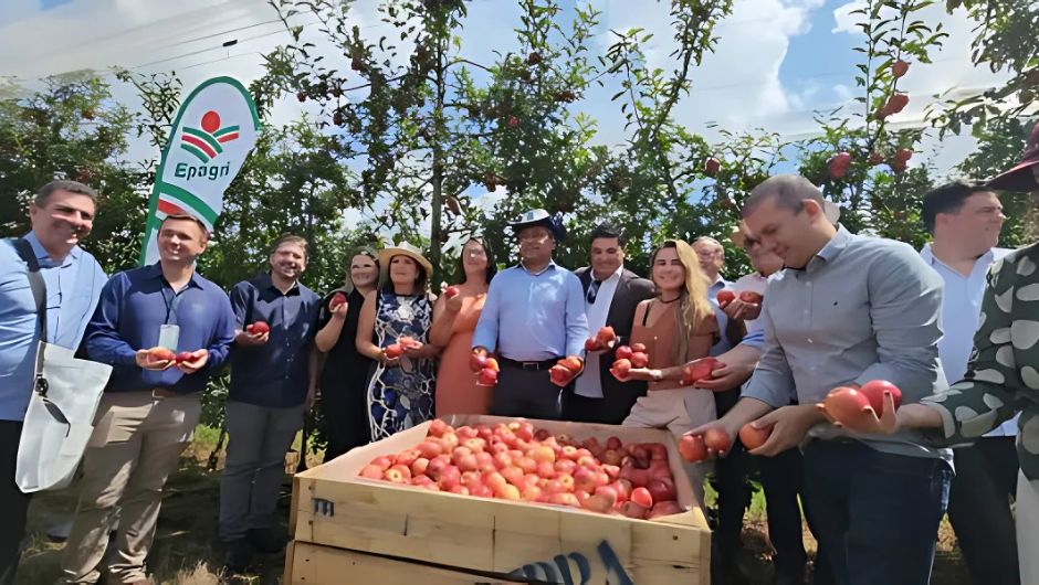 Abertura Oficial da Colheita Nacional da Maçã 2024