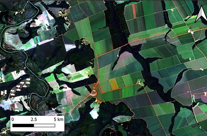 Inteligência artificial torna mais preciso o mapeamento da intensificação agrícola no Cerrado