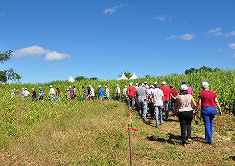 Dia de campo sobre algodão agroecológico reúne cerca de 700 participantes na Paraíba