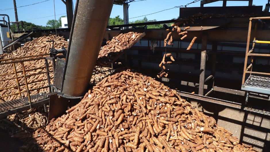 Foto: José Fernando Ogura